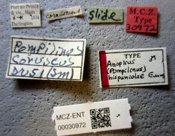 Media type: image;   Entomology 30972 Aspect: labels